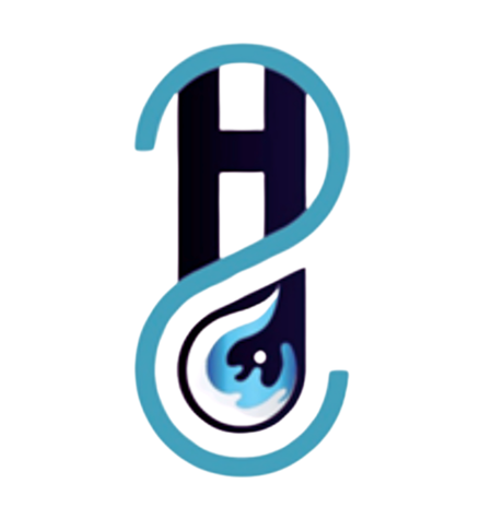 Logo Bombas y Fluidos H2O